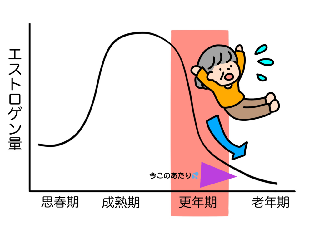 更年期が終わったらどうなるの?女性ホルモンと体の変化 | GoldenAgeを軽やかに 〜over60を自分らしく〜